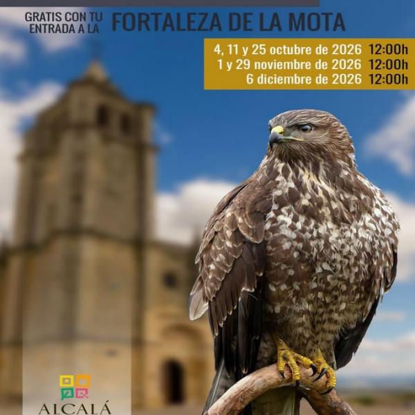 Cetrería en la Fortaleza de la Mota