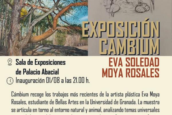 Exposición Cambium de Eva S. Moya 