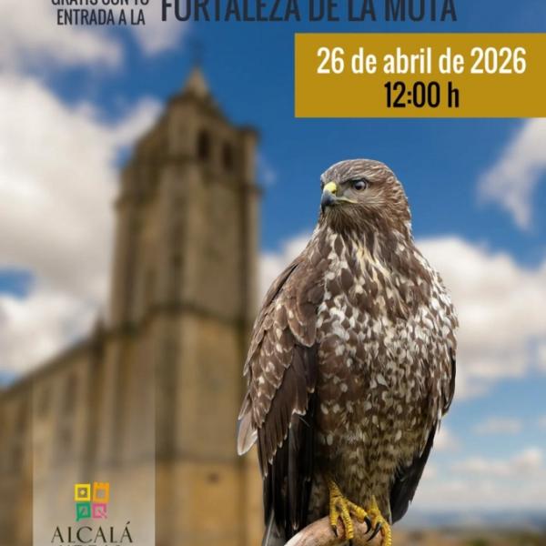 Taller de cetrería en la Fortaleza de la Mota